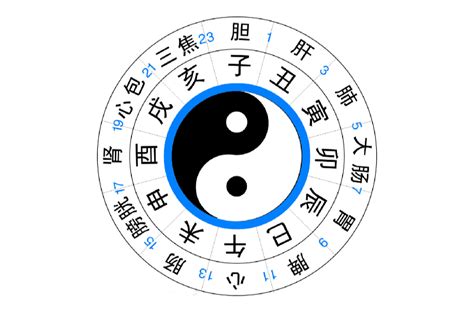 雞鳴 時間|十二時辰(漢語詞語):夜半,雞鳴,丑時,詞典解釋,平旦,日出,食時,隅中…